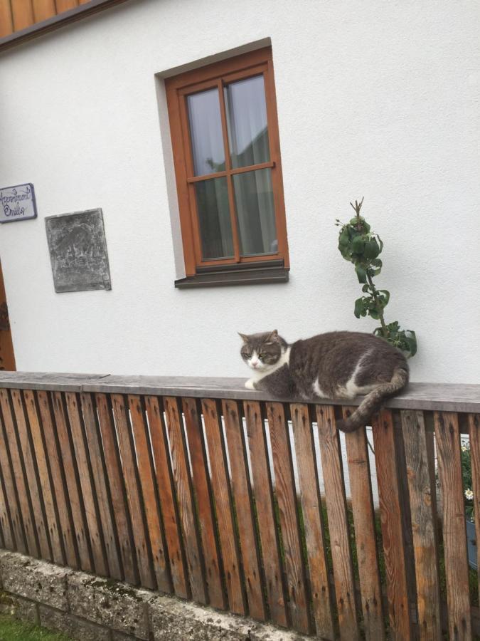 Appartement Emilia Hallstatt Exteriér fotografie