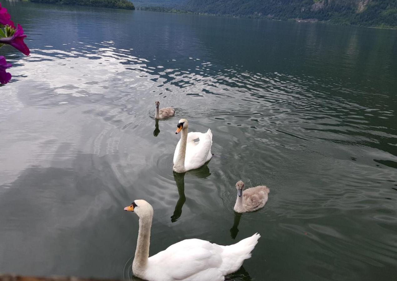 Appartement Emilia Hallstatt Exteriér fotografie
